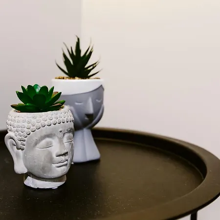 Apartman The Modern Hub - The Nest