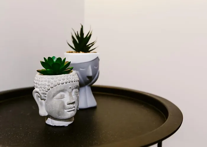 Apartman The Modern Hub - The Nest